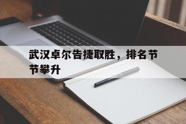 包含武汉卓尔告捷取胜，排名节节攀升的词条