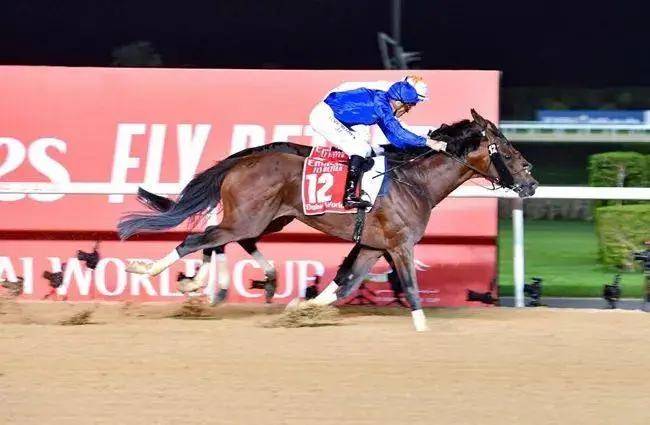 关于阿联酋选手备战充分，期待接下来的表现的信息