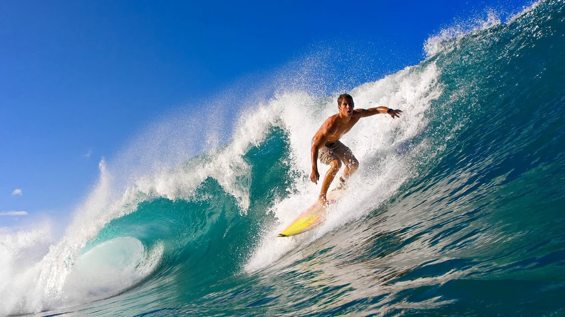 双线战场，快船破局与文班亚马的欧冠统治