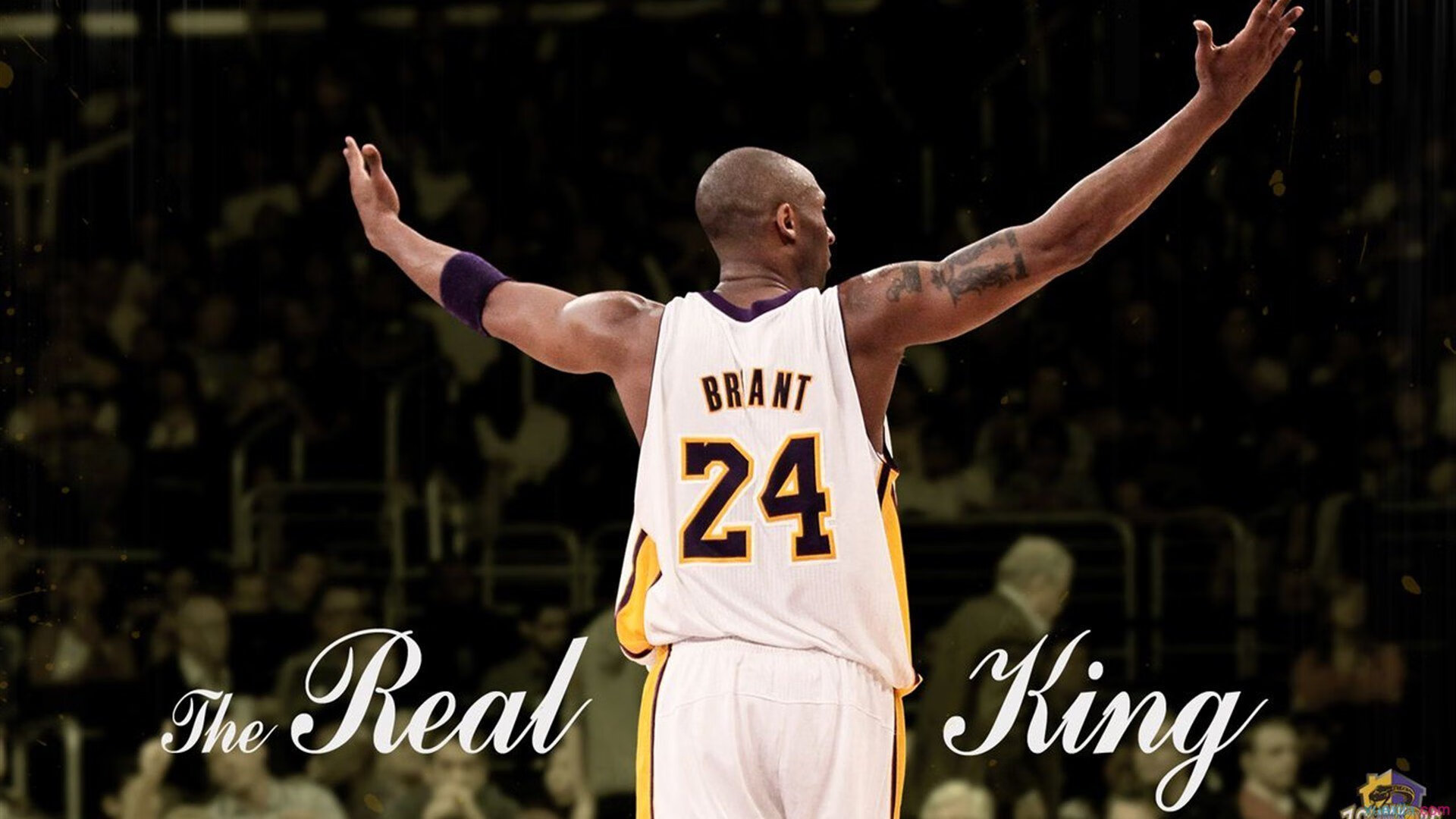 60分钟的神谕,切特一锤定音,2026世界杯之夜提前落入永恒