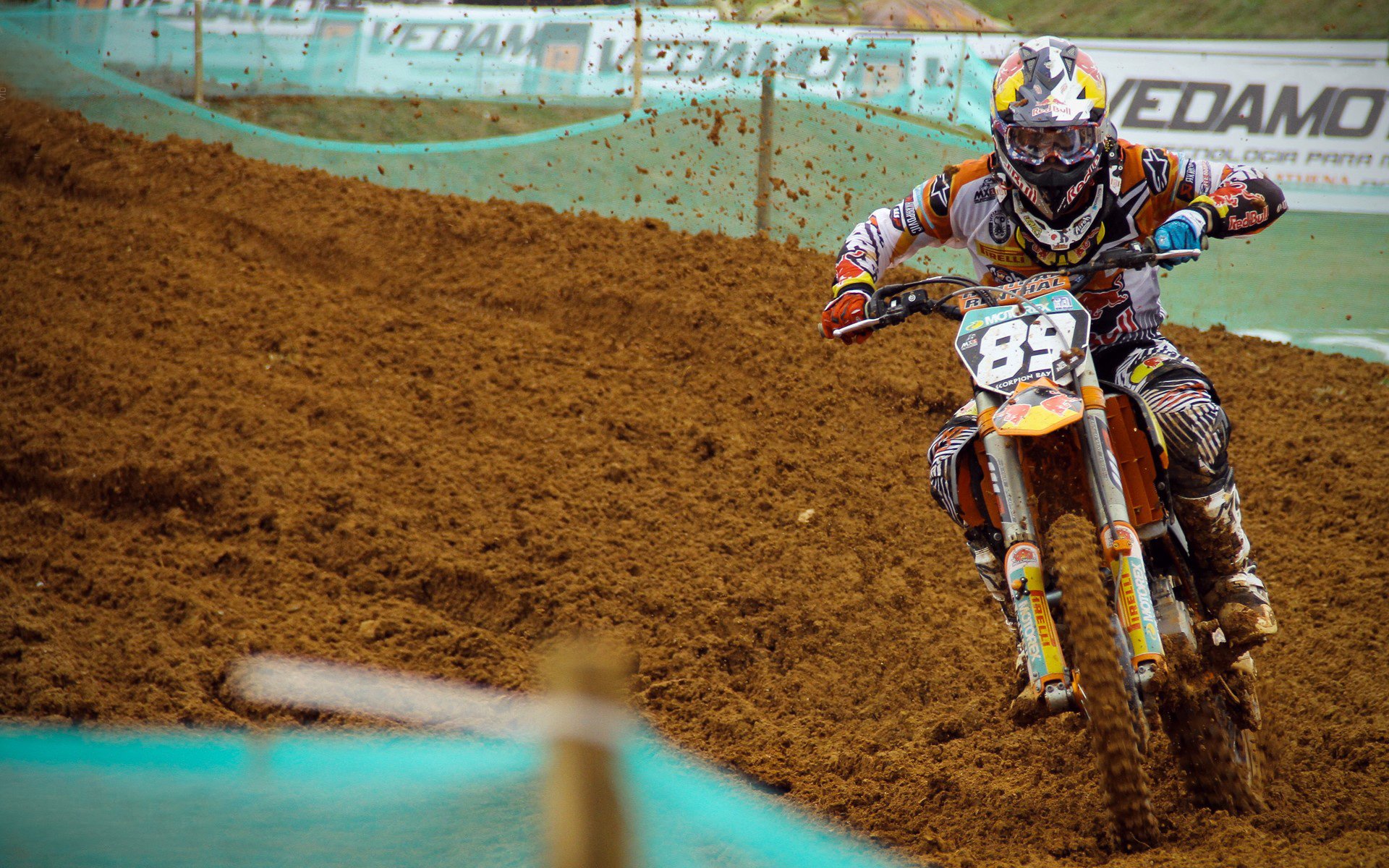 绝境之王，布鲁诺一剑封喉，巴西高原征服玻利维亚